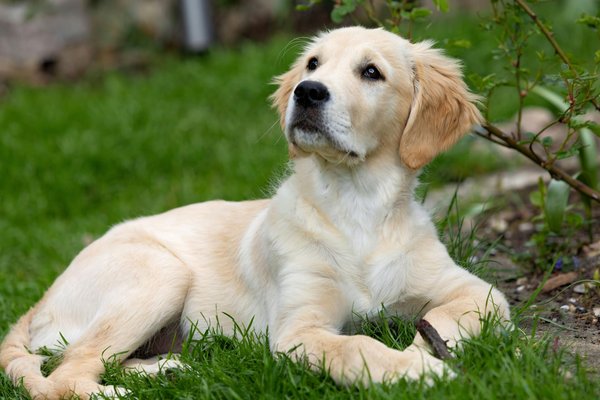 Join the movement: how uk citizens can play a vital role in protecting local seal populations